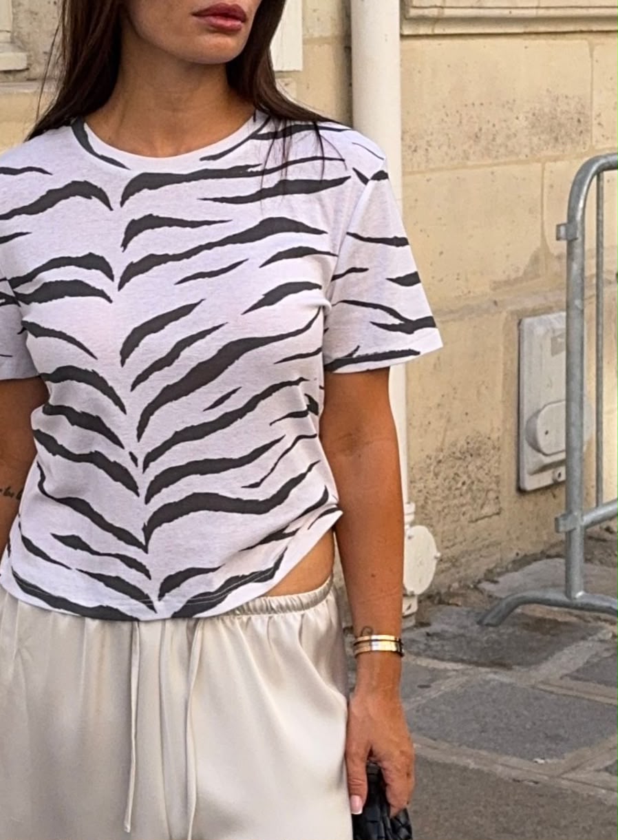 Numéro 426 Zebra
