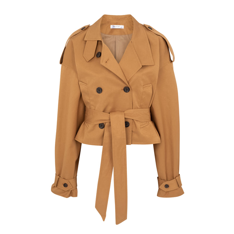 Numéro 214 Camel